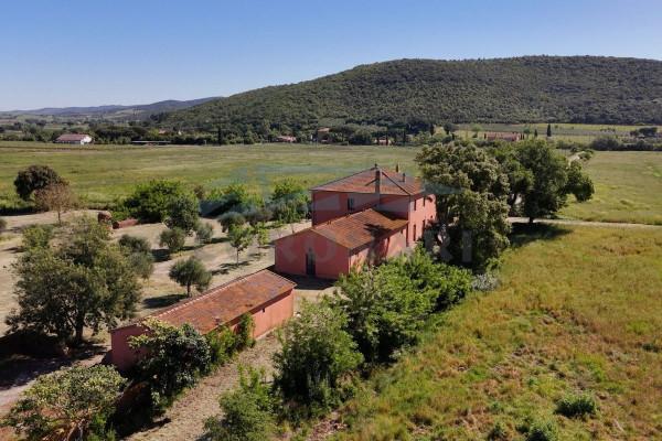 Casale in Strada Provinciale di Montiano, Magliano in Toscana — foto 5 di 5