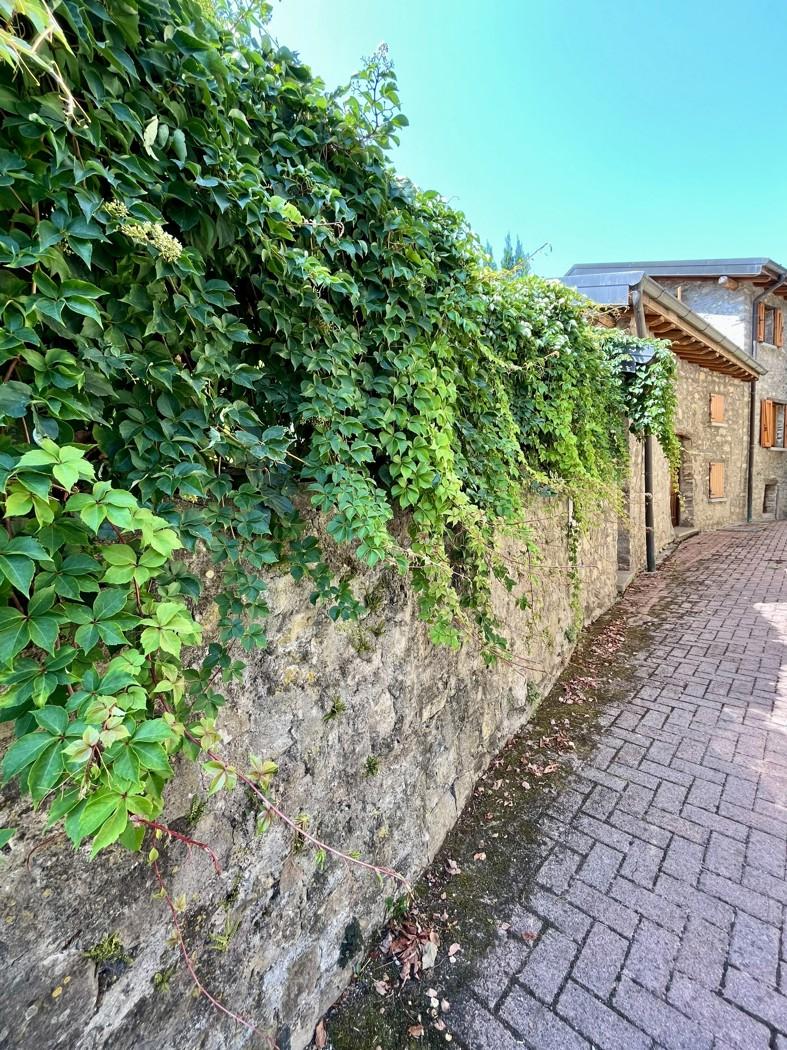 Villa in Via alla Chiesa Snc, Alta Valle Intelvi — foto 5 di 5