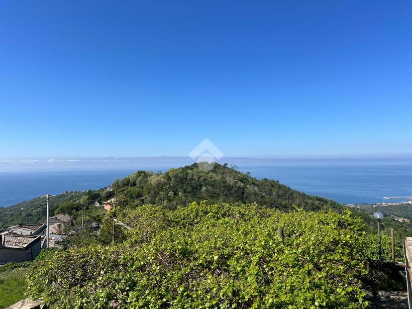 Villa, Lavagna — foto 2 di 5