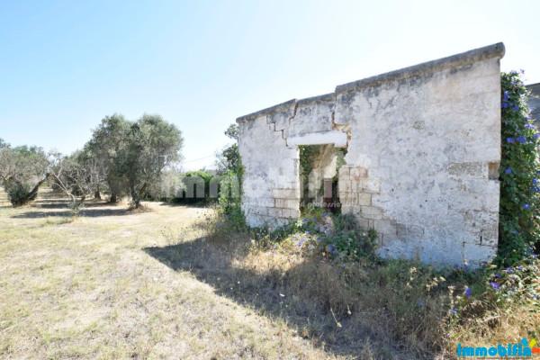 Rustico, Oria — foto 3 di 5