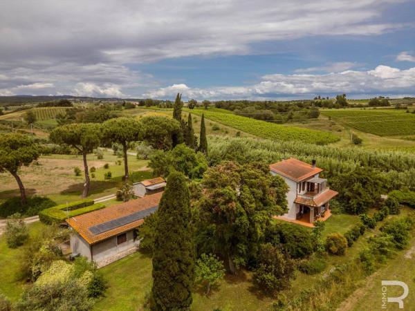 Rustico in Strada Provinciale di Montiano, Magliano in Toscana