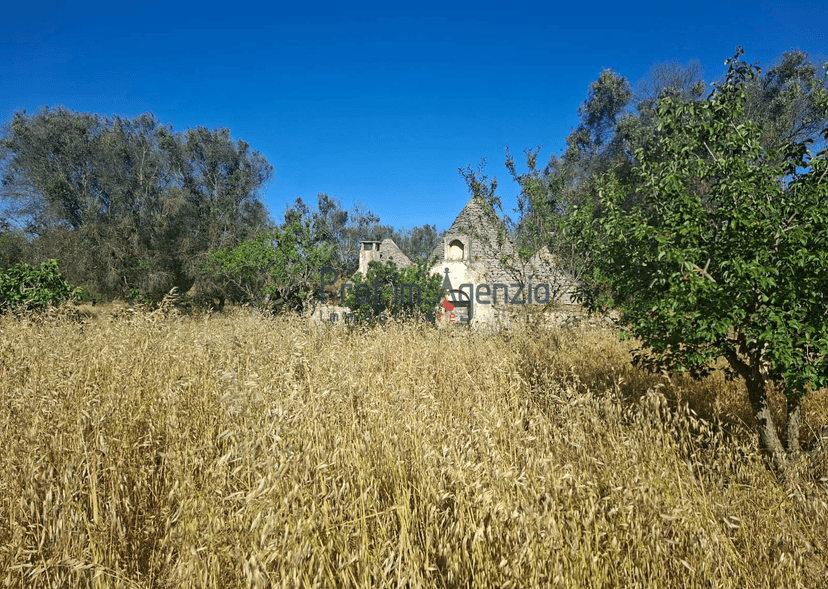 Trullo, San Michele Salentino — foto 3 di 5
