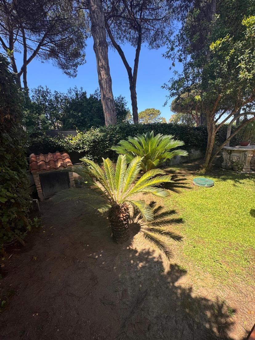 Casa indipendente in Via San Felice Circeo 929, San Felice Circeo — foto 3 di 5