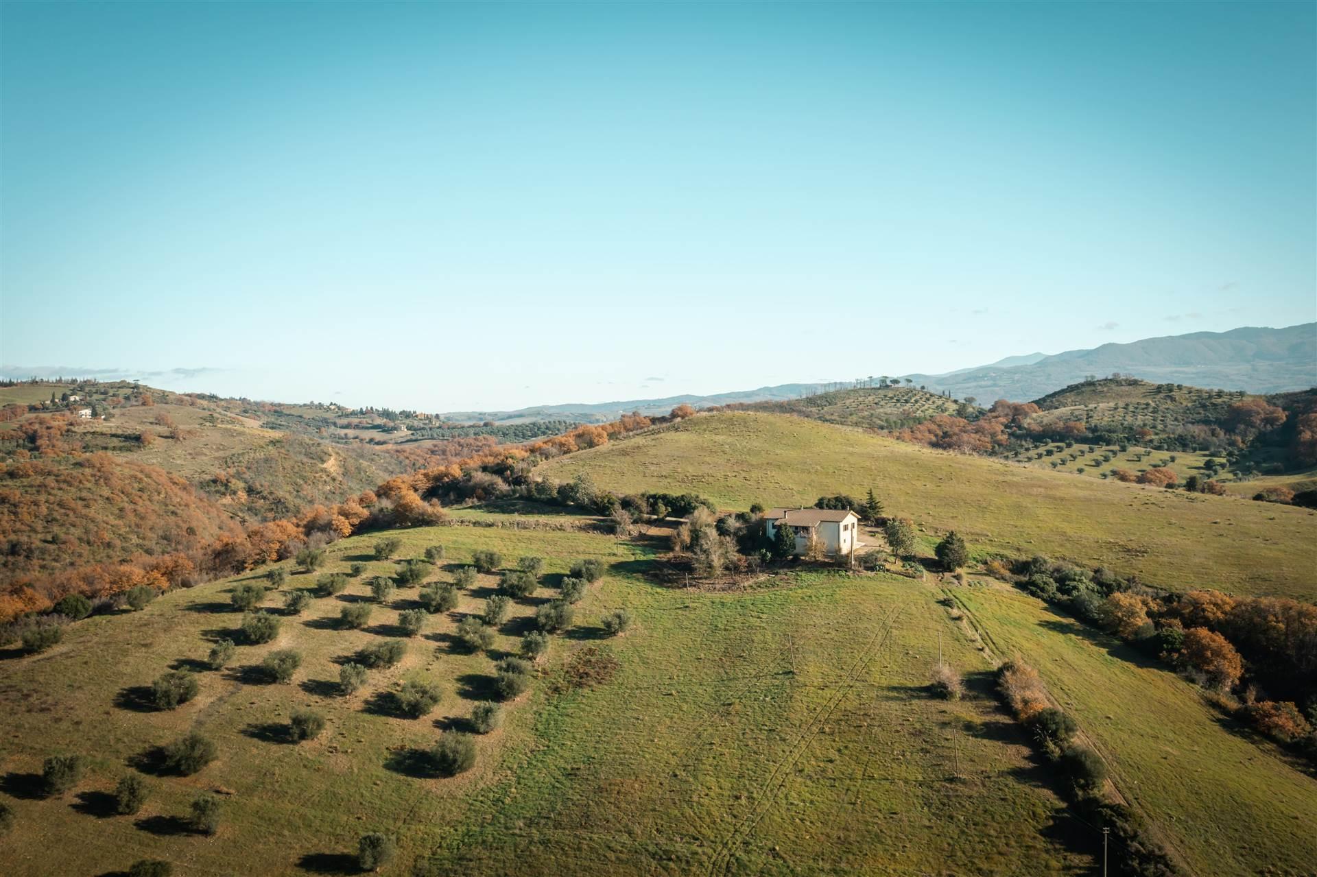 Rustico, Cinigiano