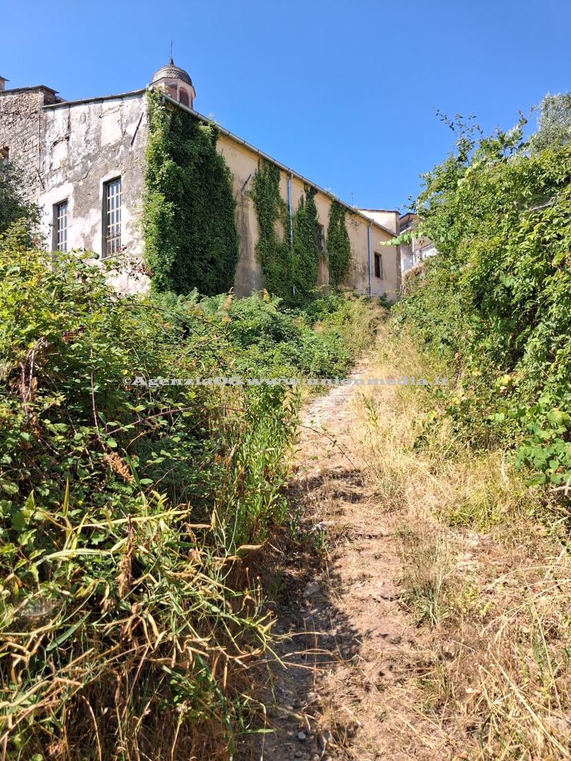 Rustico, Arcola
