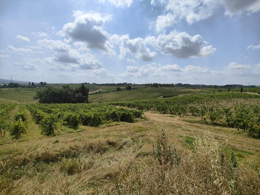 Casale, Cerreto Guidi — foto 3 di 5