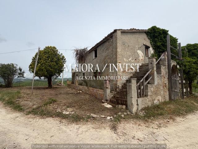 Rustico, Acquaviva Picena — foto 3 di 5