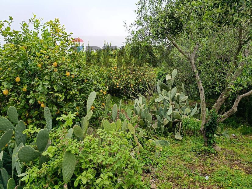 Casa indipendente in Via Giarre Nunziata Snc, Mascali — foto 5 di 5