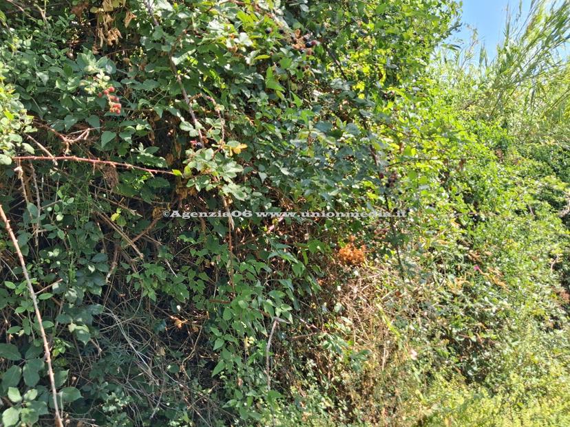 Rustico, Arcola — foto 2 di 5