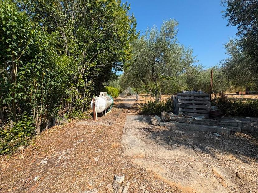 Rustico in V. delle Vigne, Sermoneta — foto 3 di 5
