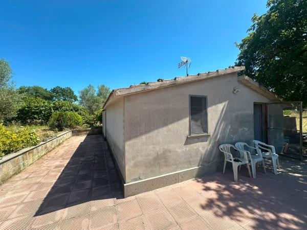 Casale in Strada Campo delle Rose, Viterbo — foto 2 di 5