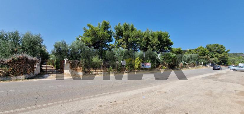 Villa in Umbramare 4, Vieste — foto 3 di 5