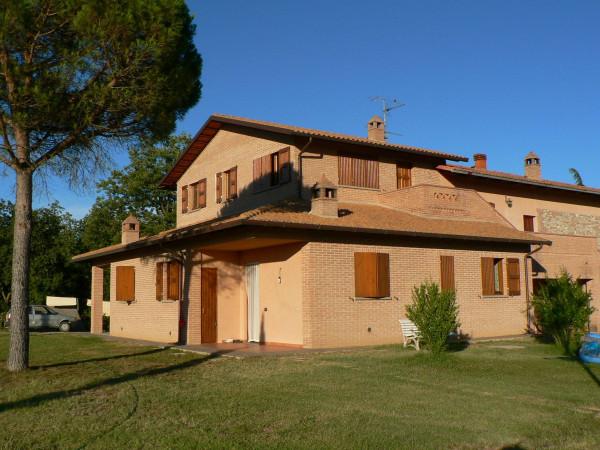 Casale in Via Fratelli Cairoli, Castiglione del Lago — foto 3 di 5