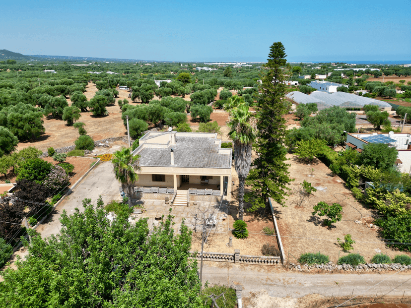Villa in Contrada Sant'Antonio d'Ascula, Monopoli — foto 5 di 5