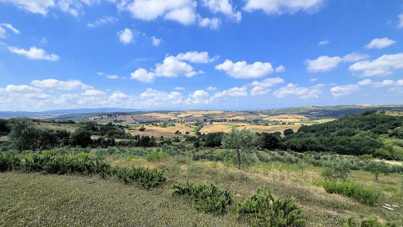 Villa in Zona Colle di Lupo, Magliano in Toscana — foto 2 di 5