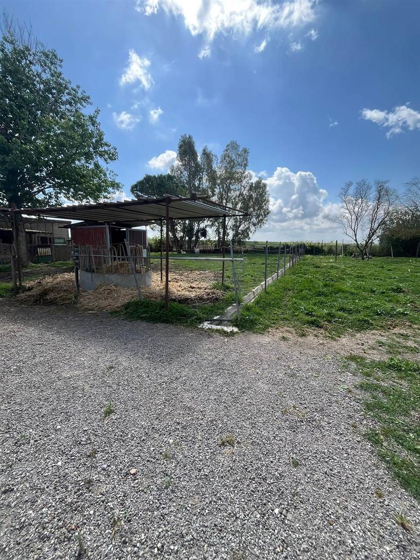 Appartamento, Castiglione della Pescaia — foto 3 di 5
