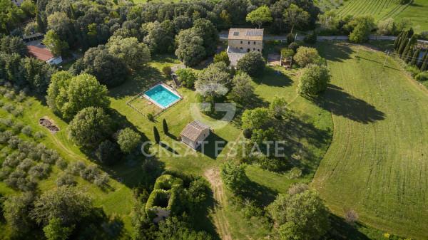 Casale, Pomarance — foto 5 di 5