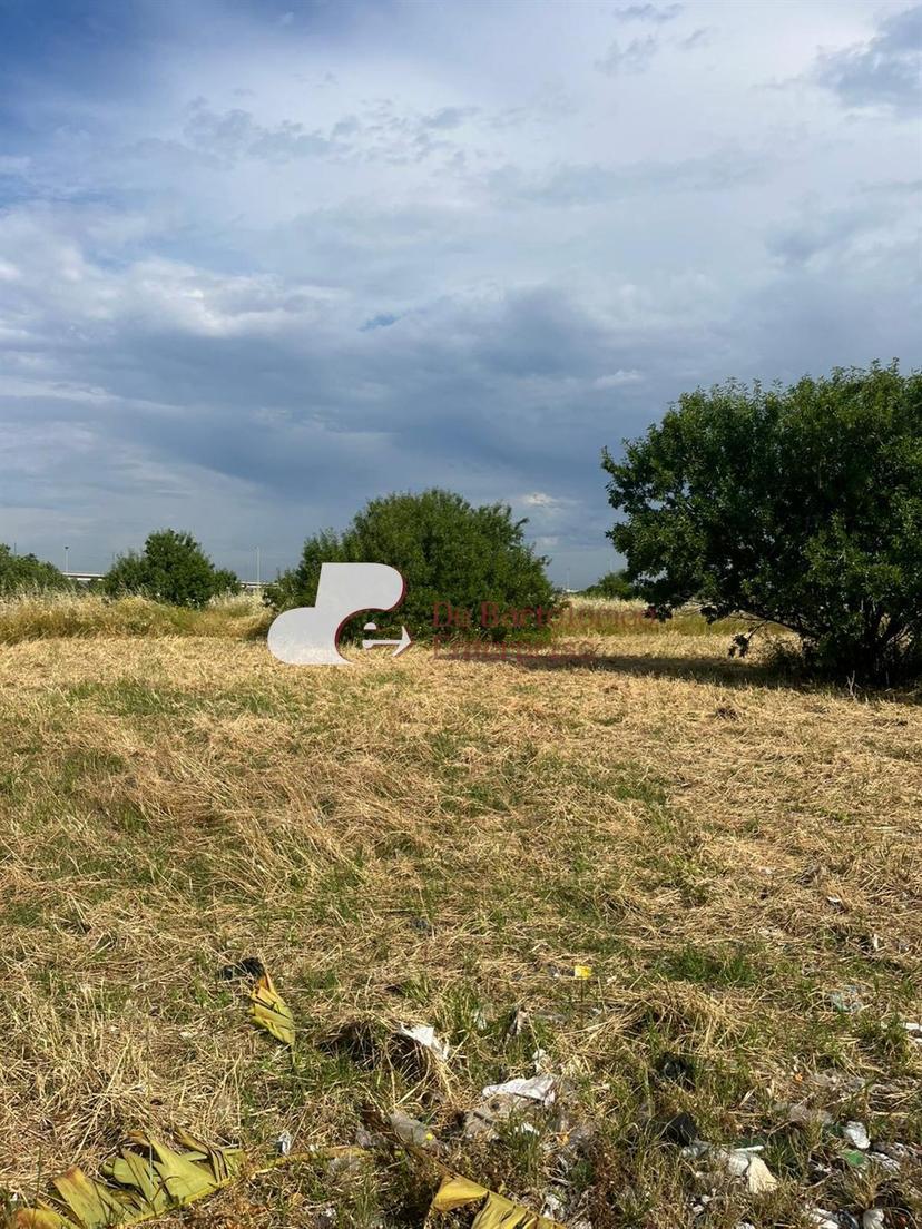 Rustico, Bari — foto 3 di 4