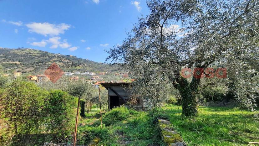 Casa indipendente in Via Cancello Snc, Boville Ernica — foto 4 di 5
