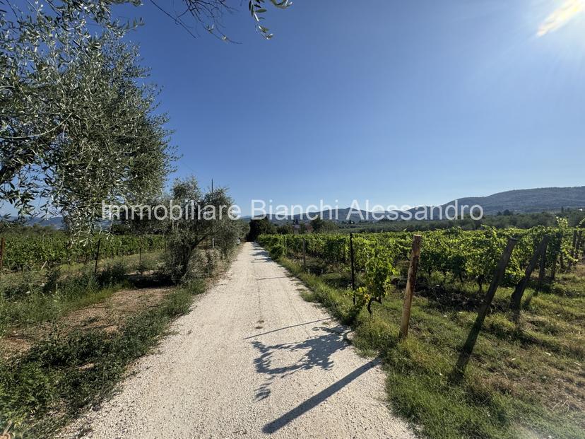 Casa colonica in Via del Cerreto, Bagno a Ripoli — foto 2 di 5