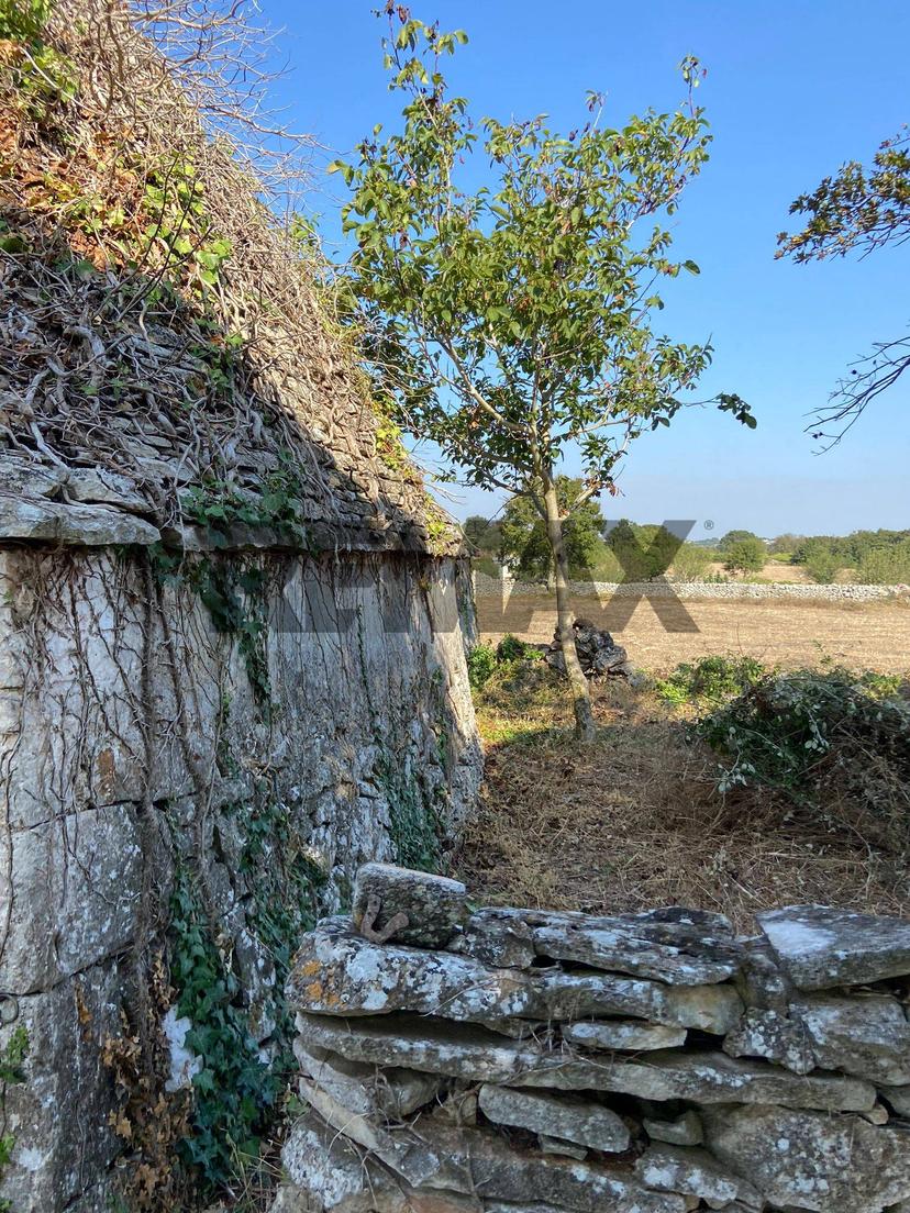 Abitazione tipica in Contrada Vecchia Snc, Noci — foto 2 di 5