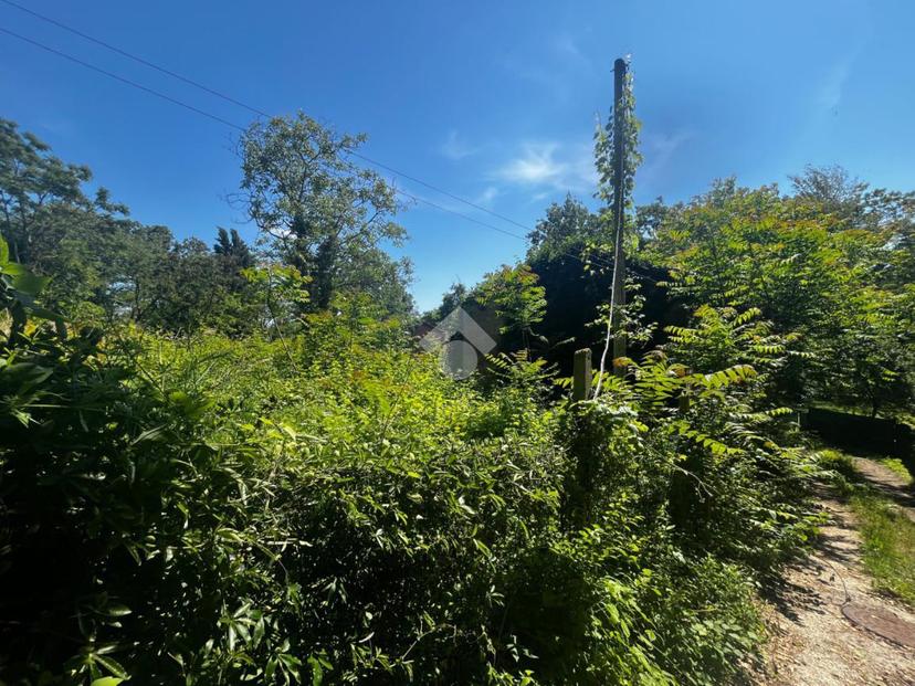 Rustico in Via Molini 60, Pesaro — foto 3 di 5