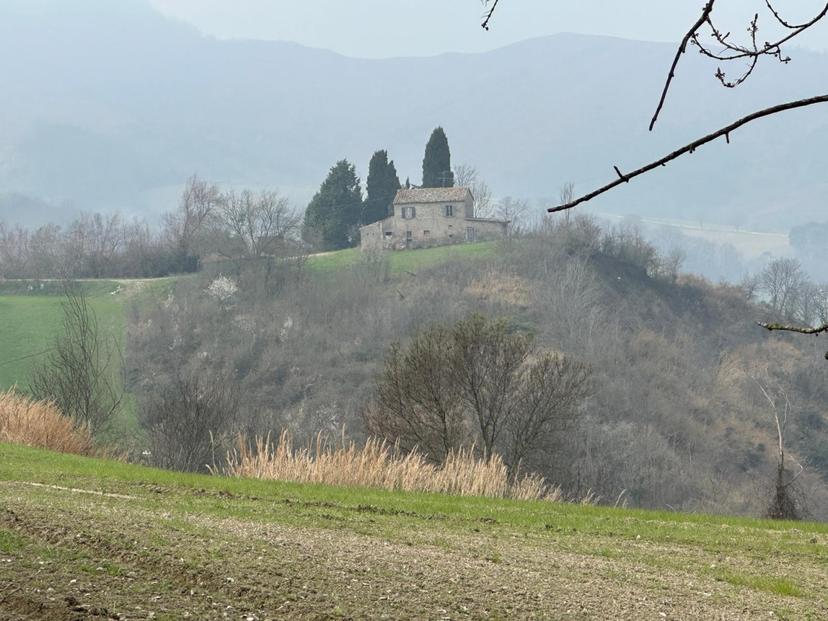 Casa colonica, Sogliano al Rubicone — foto 5 di 5