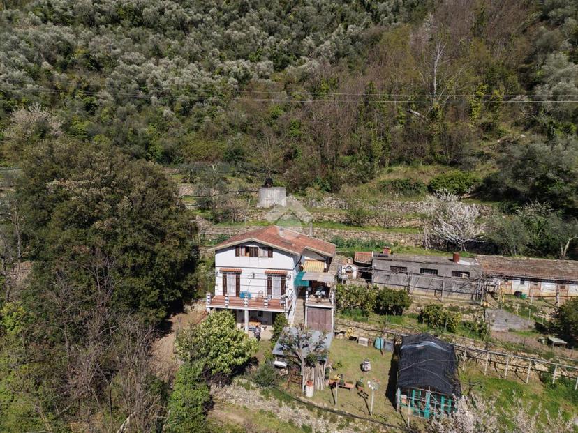 Villa in Localita' Progallo, Montalto Carpasio — foto 3 di 5
