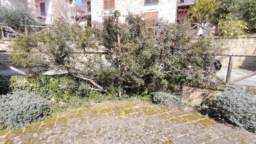 Quadrilocale, Manciano — foto 3 di 5