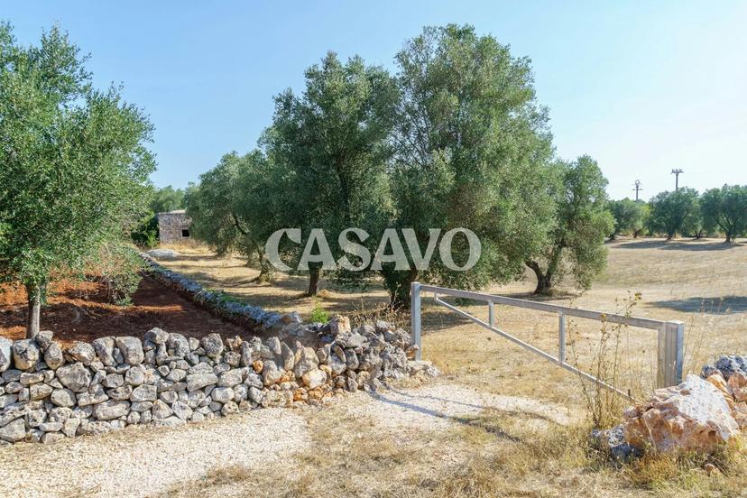 Rustico in Unnamed Road, Ceglie Messapica — foto 5 di 5