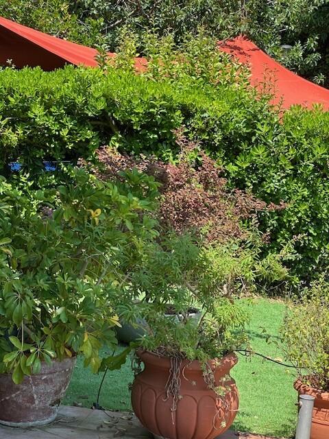 Appartamento, Ameglia — foto 3 di 5