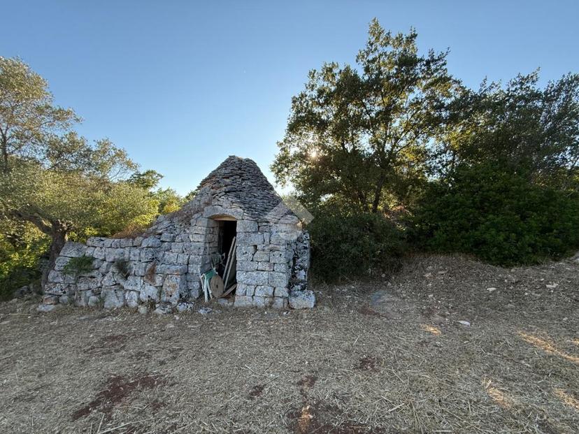 Casa indipendente in C.da Pico, Cisternino — foto 5 di 5