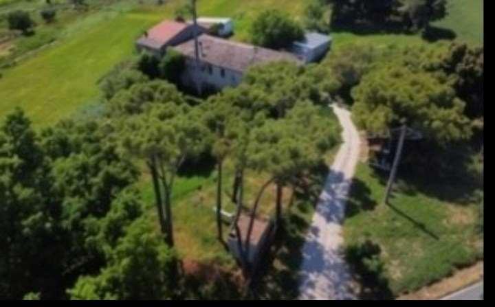 Rustico, San Mauro Pascoli