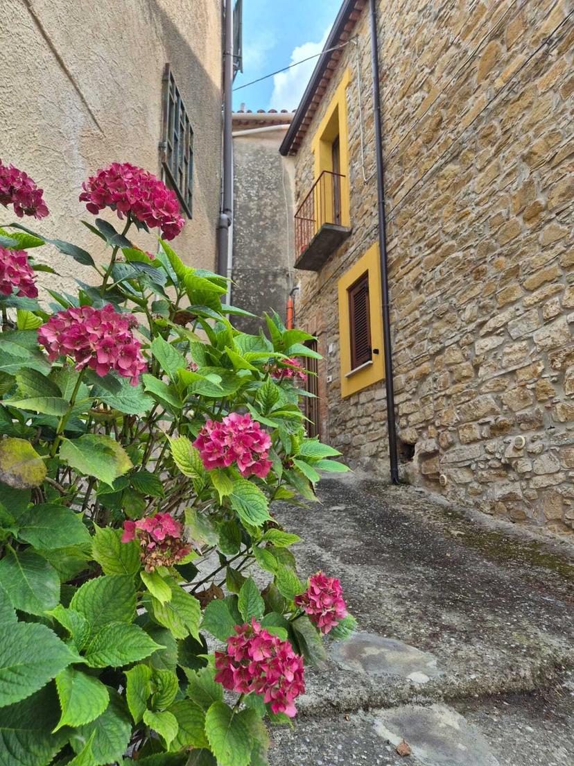 Trilocale in Vico Zerno 4, Prignano Cilento — foto 2 di 5