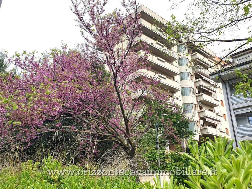 Appartamento, Ascoli Piceno — foto 2 di 5