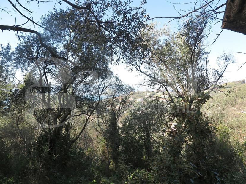 Rustico in Località Zanego 1, Lerici — foto 2 di 5