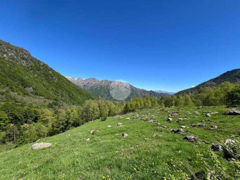 Rustico in Regione Vallorsera - Loc. Malacria 43, Lemie — foto 5 di 5