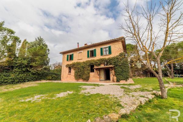 Rustico in Strada Provinciale Lauretana, Asciano — foto 5 di 5