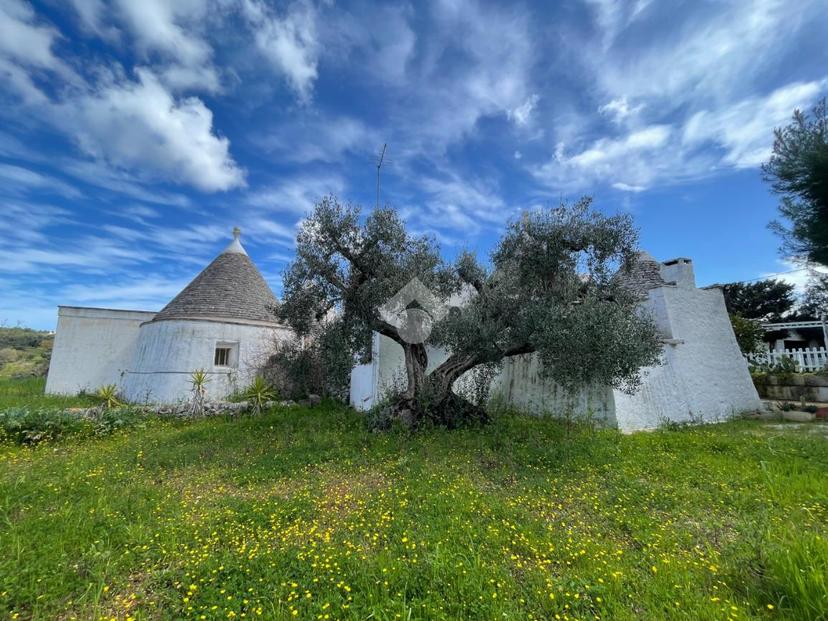 Rustico in C.da Termetrio 3, Cisternino — foto 5 di 5
