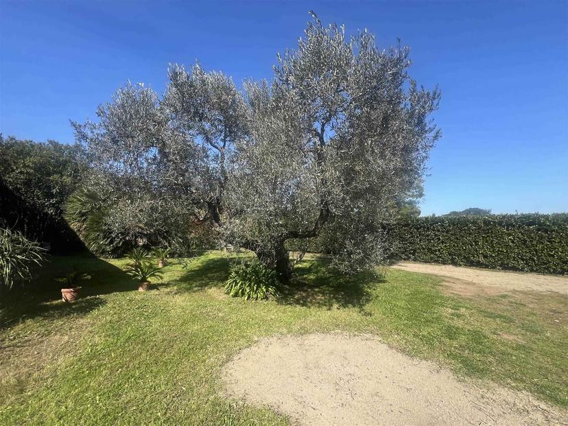 Villa bifamiliare in Via Po, Castagneto Carducci — foto 3 di 5