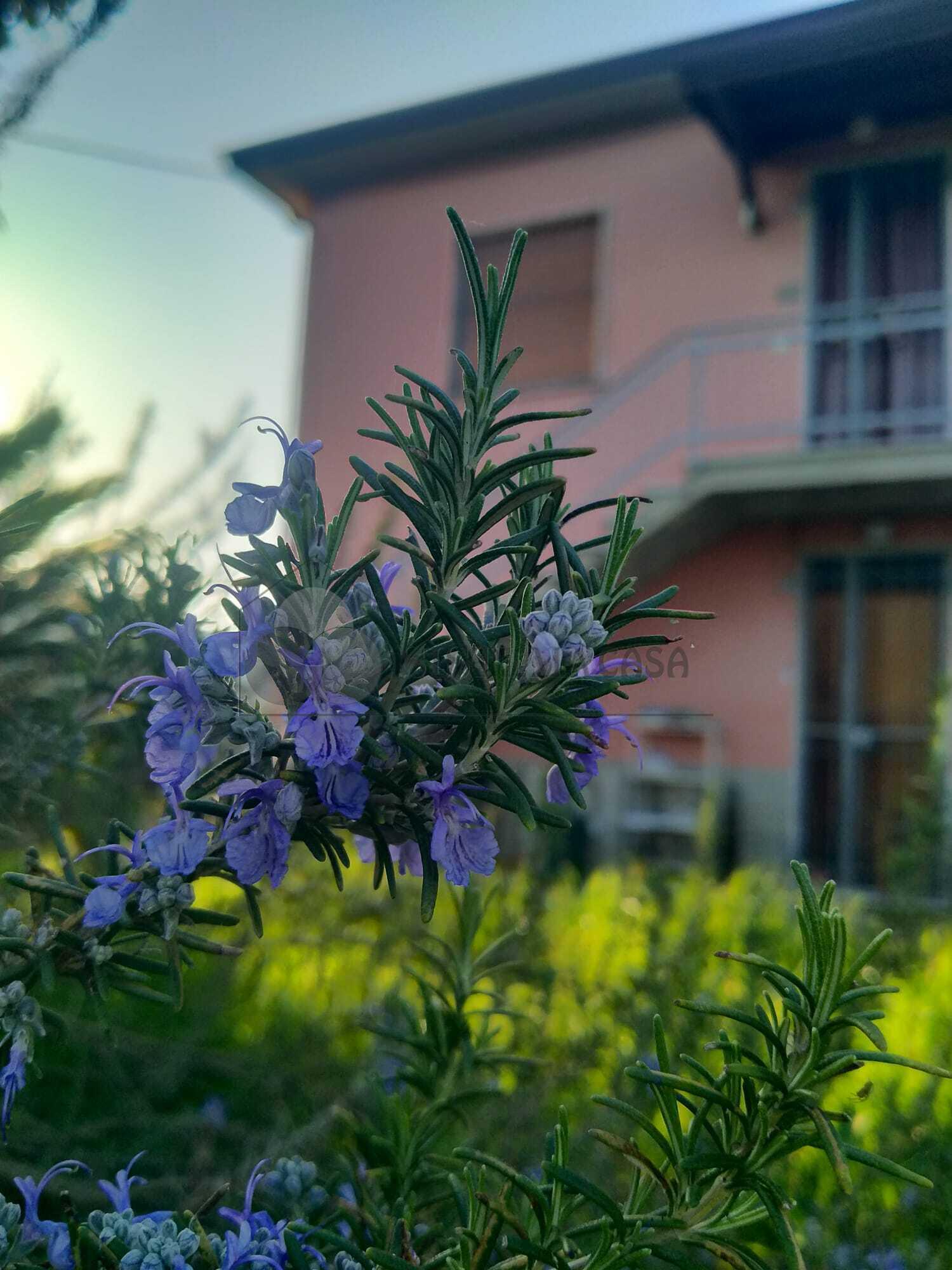 Casa indipendente in Via Ghiarettolo 138, Sarzana