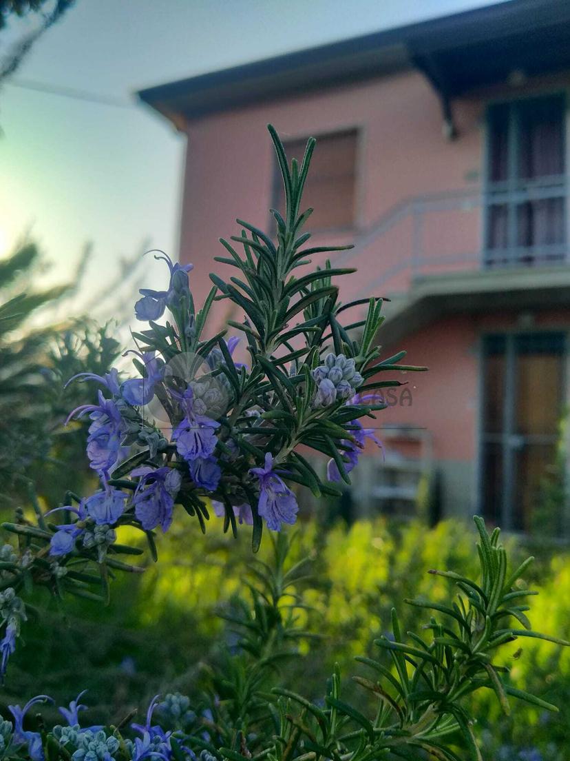 Casa indipendente in Via Ghiarettolo 138, Sarzana