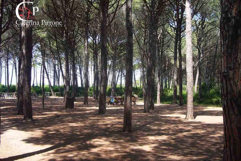 Trilocale in Via Marche 10, Rosignano Marittimo — foto 2 di 5