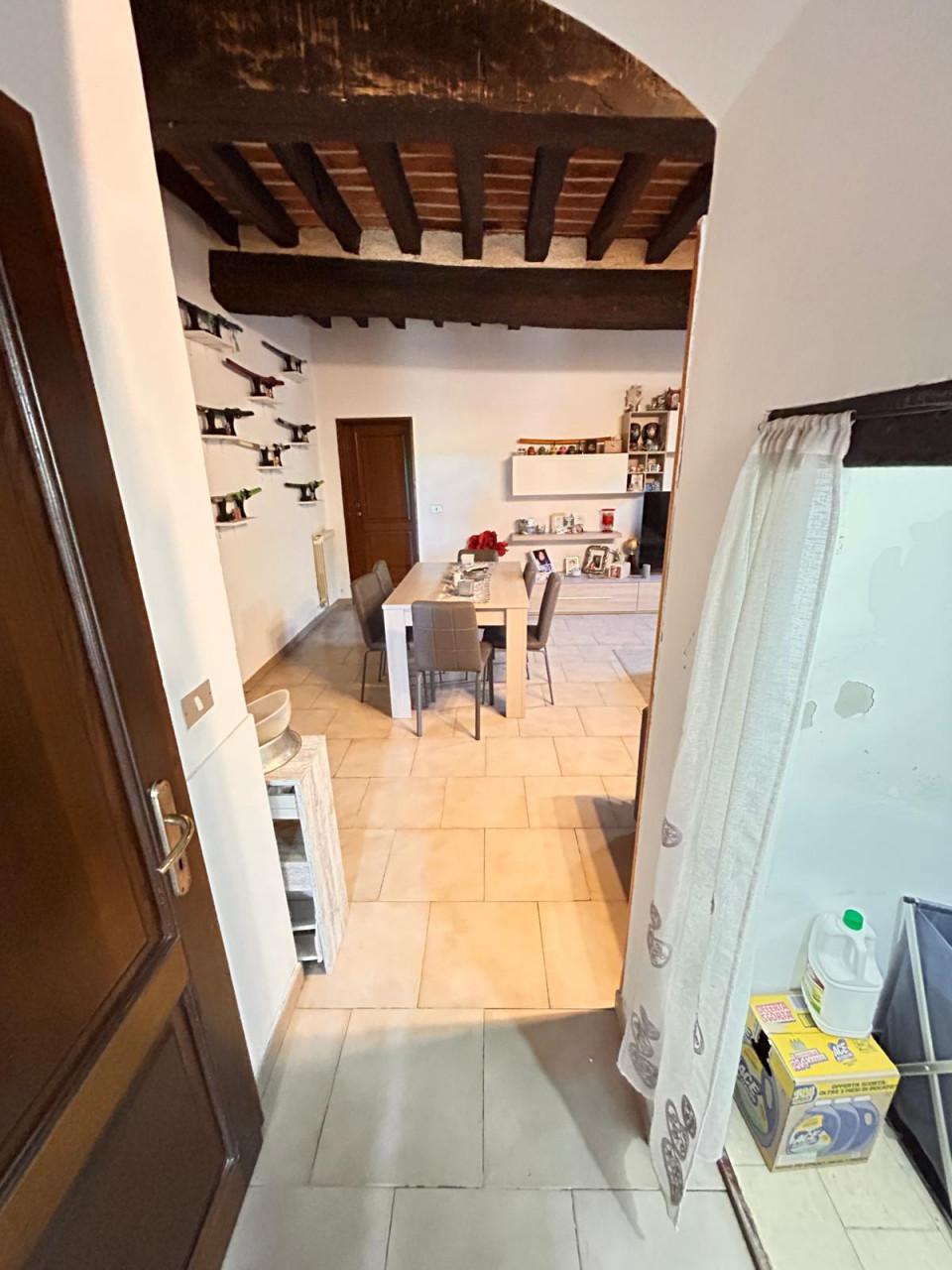 Quadrilocale, Modena