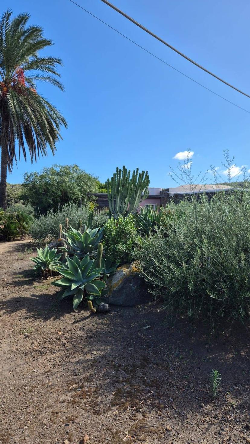 Villa in Via Lago Snc, Pantelleria — foto 4 di 5