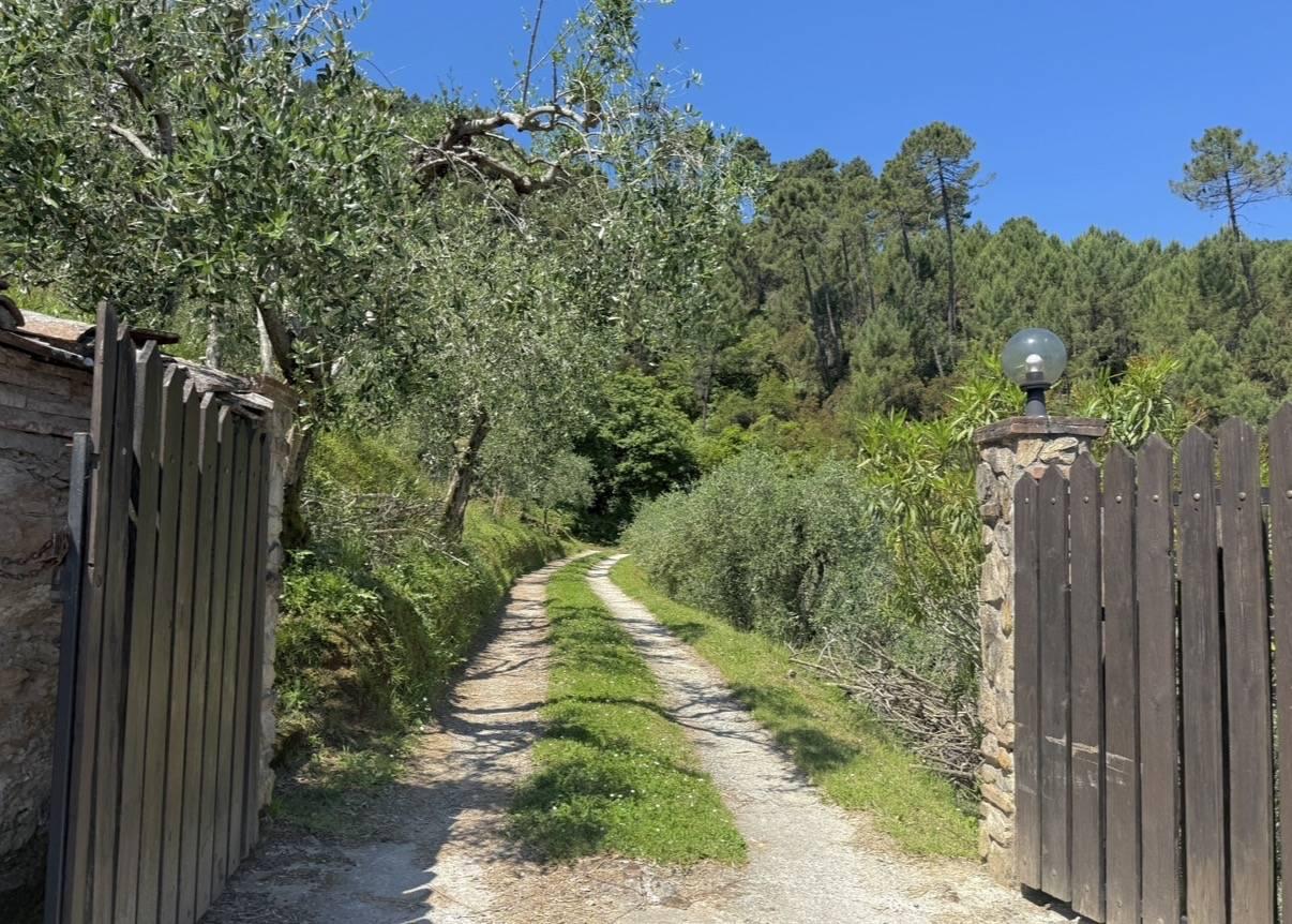 Rustico in Via di Tiglio, Capannori