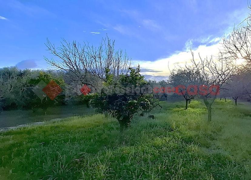 Villa in Via Torricelli 14, Aprilia — foto 5 di 5