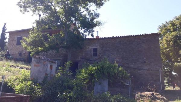 Casa colonica, Passignano sul Trasimeno — foto 4 di 5