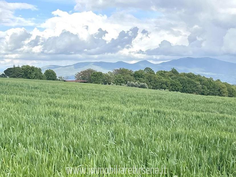 Villa in Strada Bagnorese 10, Orvieto — foto 5 di 5