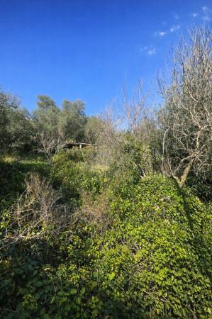 Rustico, Monte Argentario — foto 3 di 5
